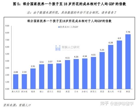 2024年出生的孩子|中国生育报告2024